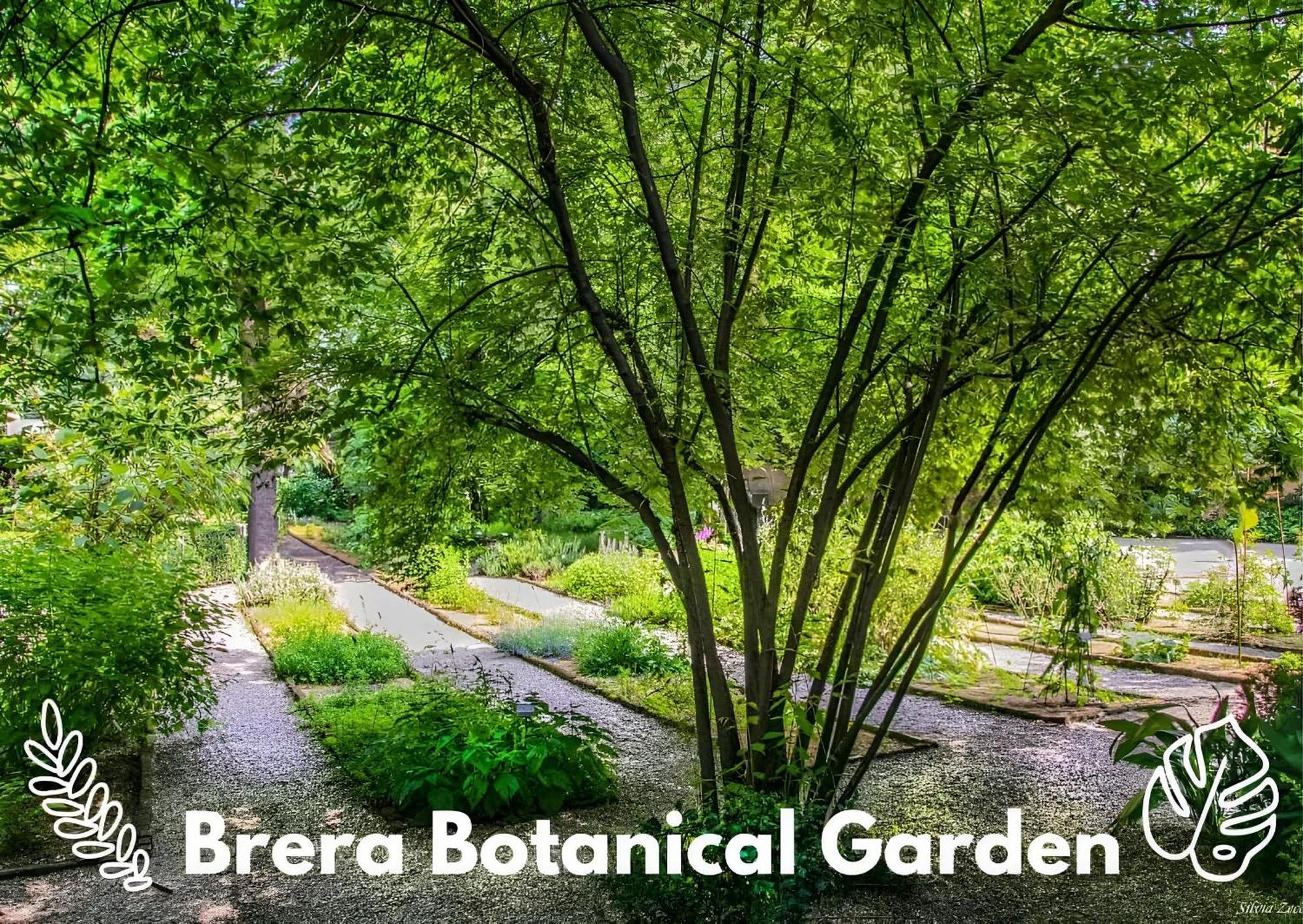 Ferienwohnung Brera Vip Spotlight - Brera - Duomo - Castello Sforzesco - Lanza Metro M2 Mailand Exterior foto